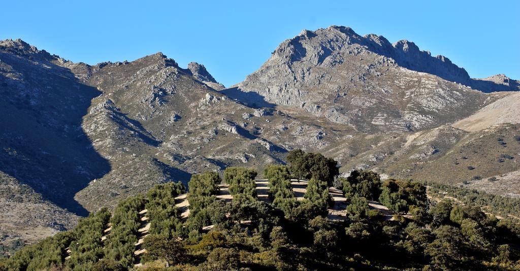 Huerta De Las Palomas Priego De Cordoba Luaran gambar